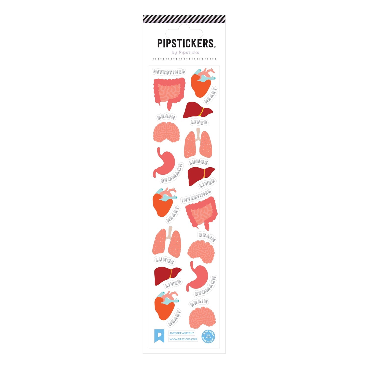 Science & Studies Kids Pack