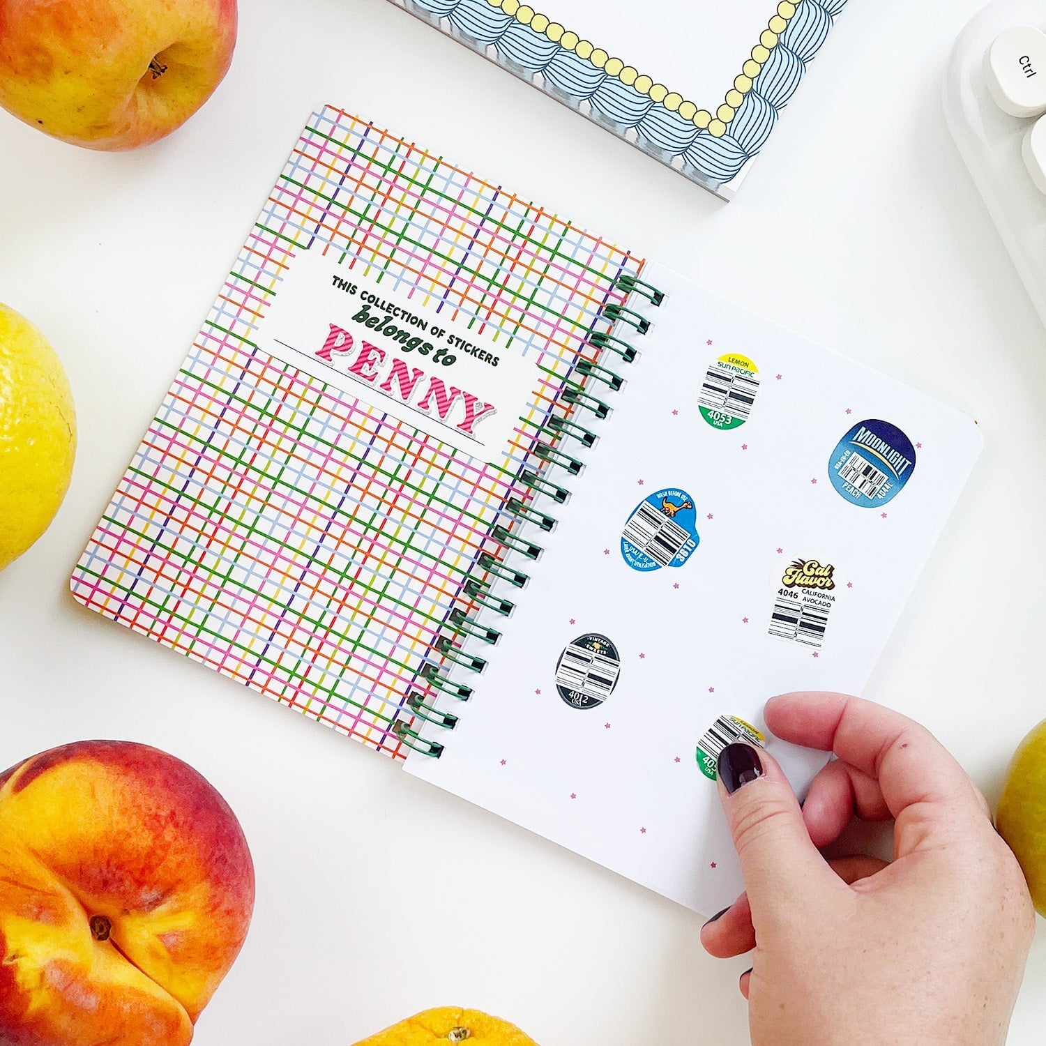 Fruit Sticker Journal Book