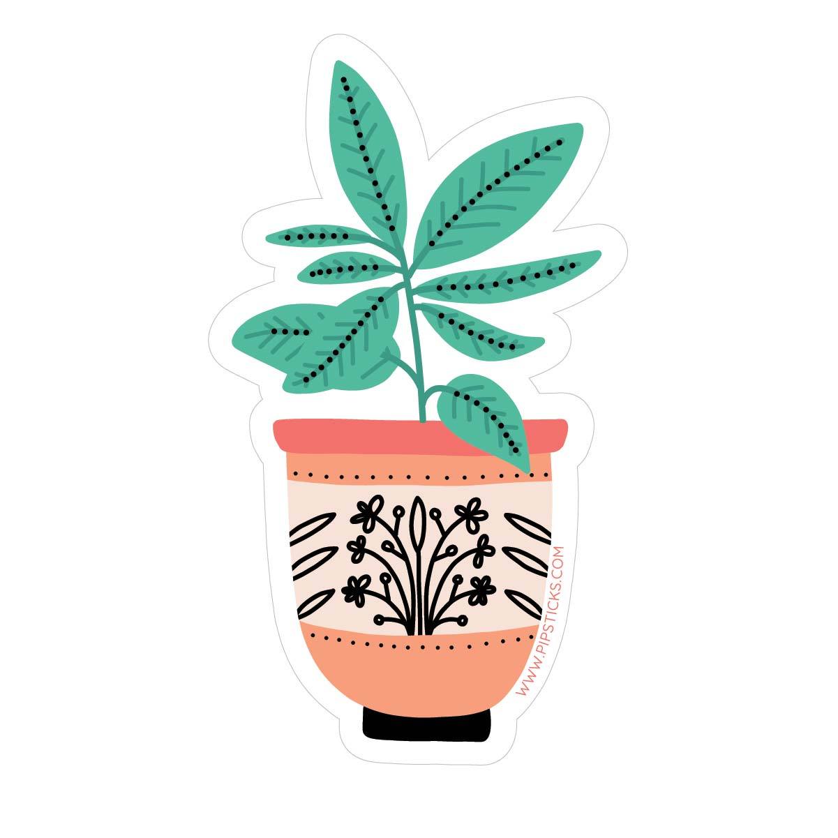 Ficus Vinyl