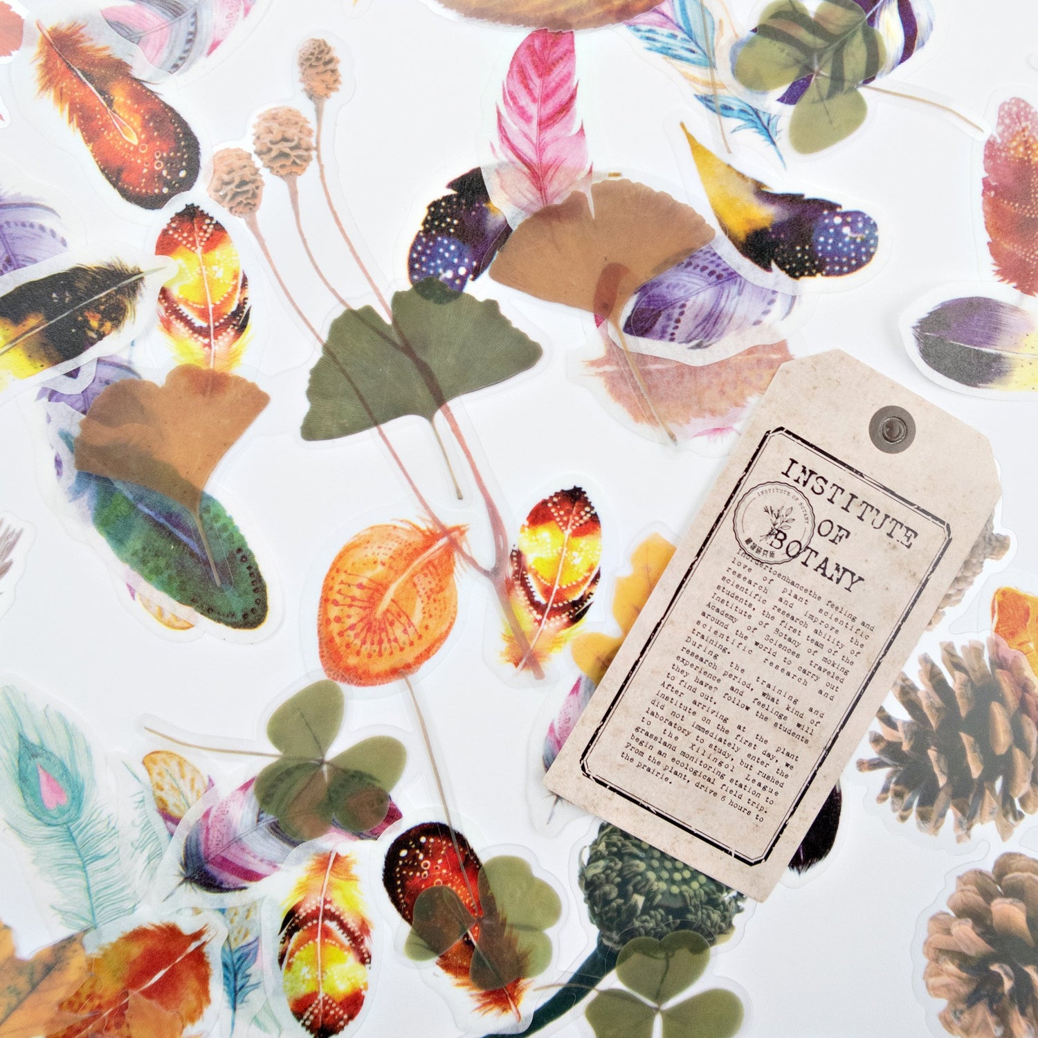 2019 November Stationery Box