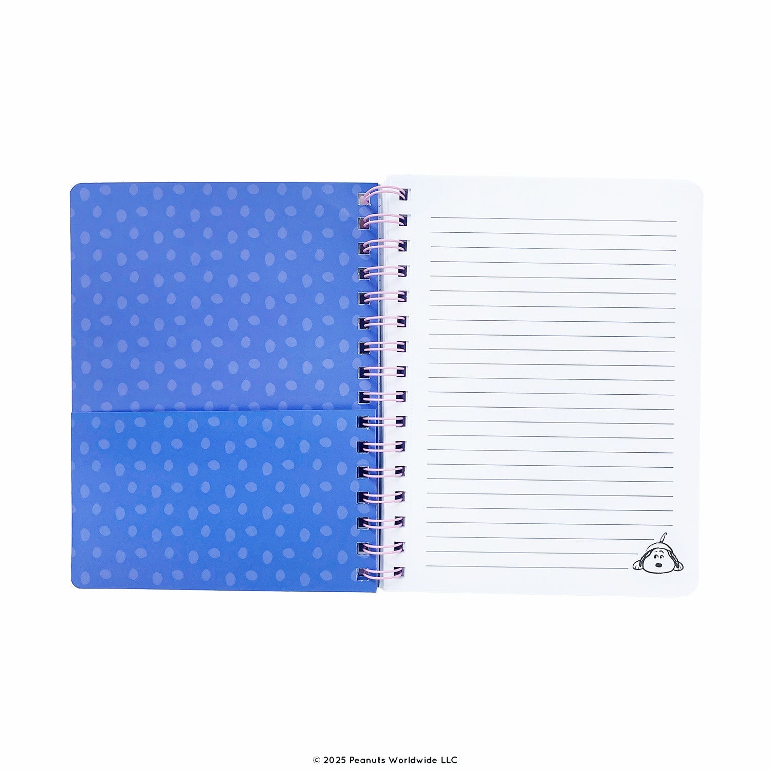 Pipsticks + Peanuts Stationery Box