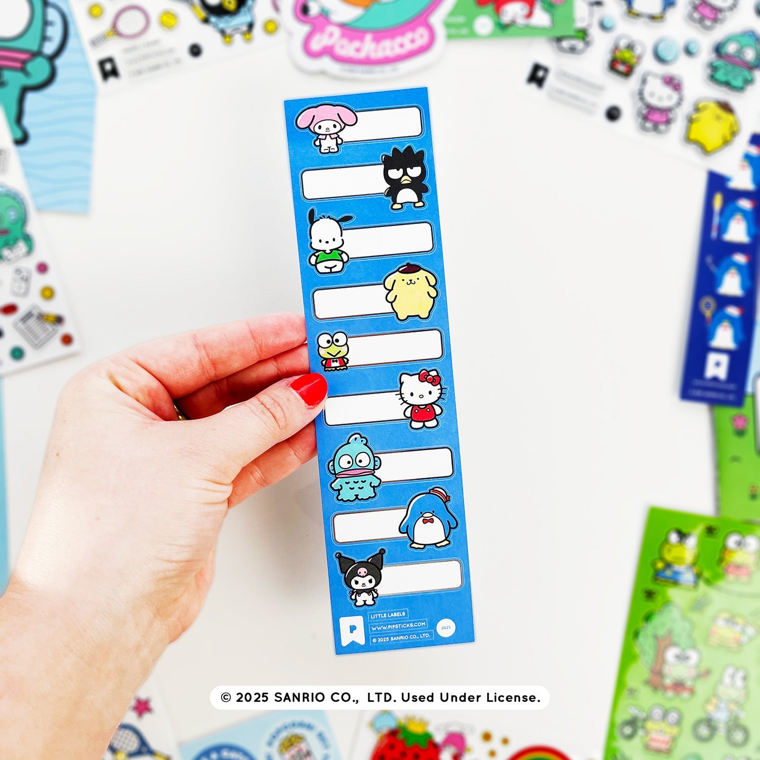 Play All Day Hello Kitty & Friends Sticker Club Pack