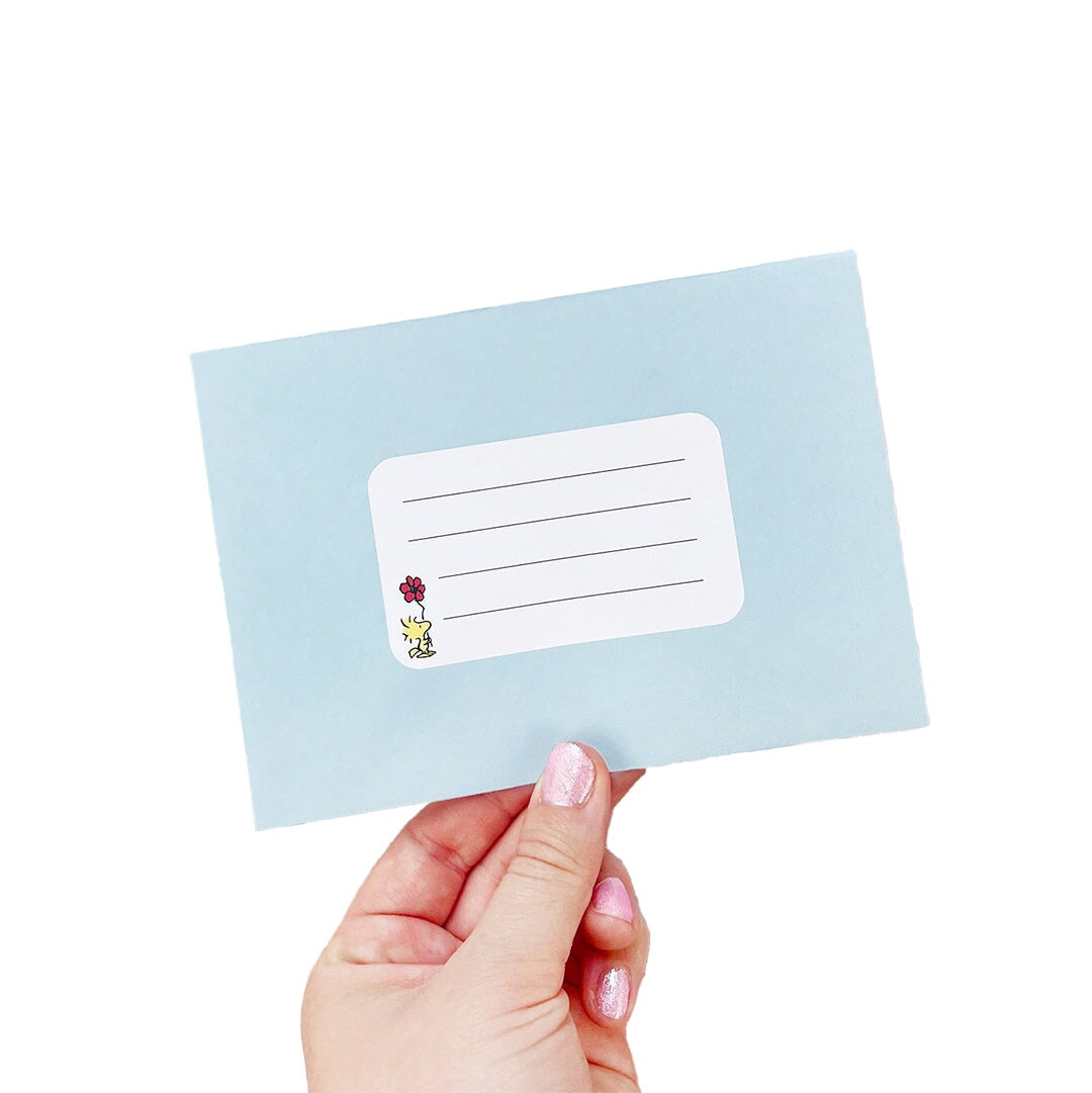 Pipsticks + Peanuts Sticker & Stationery Gift Box