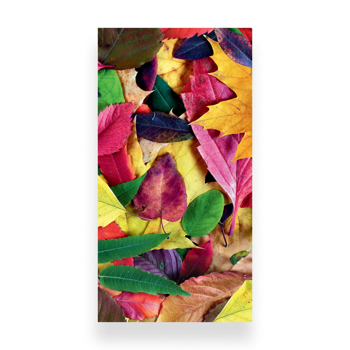 A vertical rectangular print or panel filled with a dense arrangement of colorful autumn leaves in yellow, red, pink, green, and purple, shown against a light gray background with a soft shadow.
