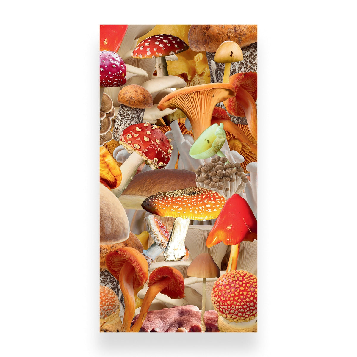 A tall rectangular art print or poster featuring a dense, colorful collage of mushrooms in red, orange, yellow, brown, and white tones, shown against a light gray background.