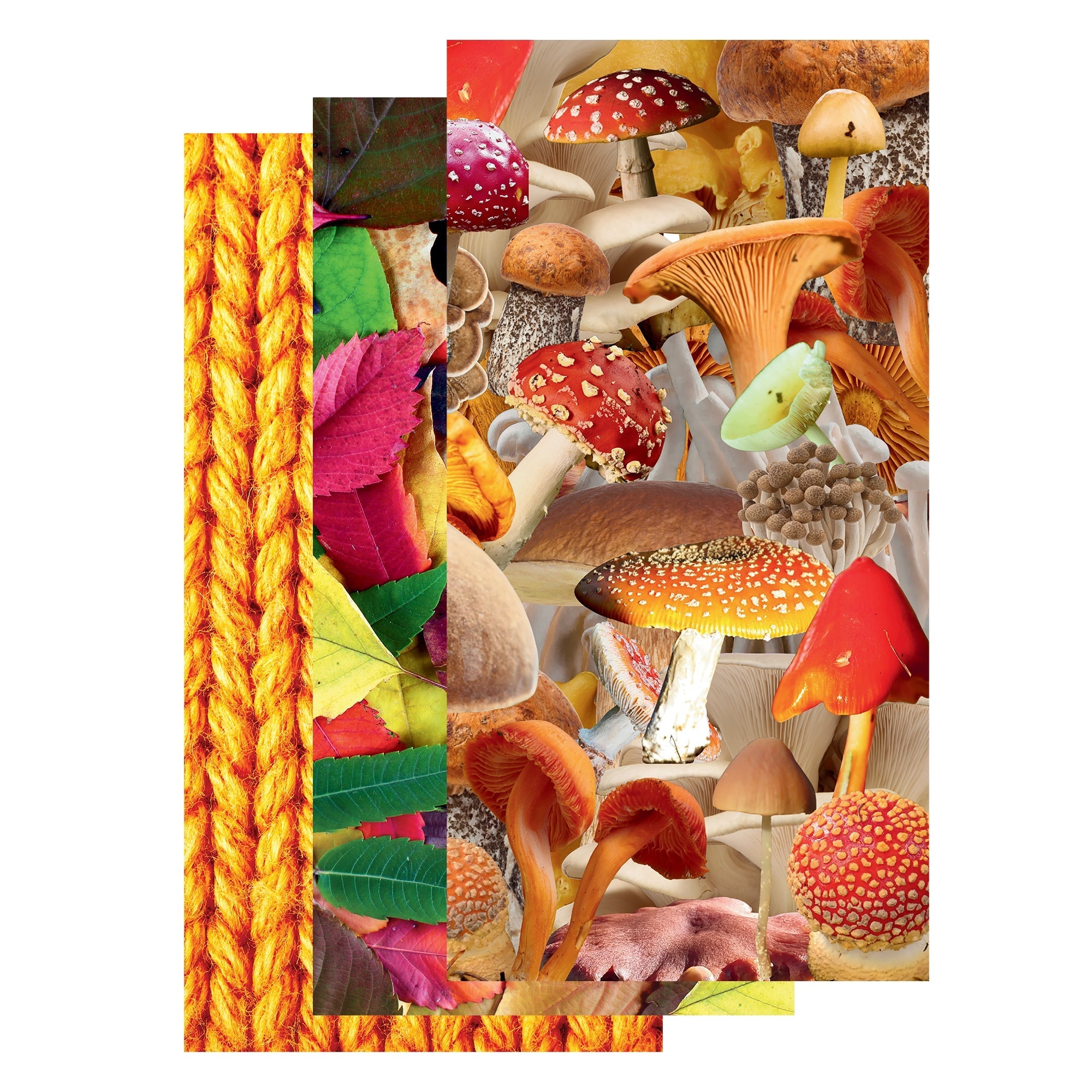 Autumn Atmosphere Travelers Notebook Collection