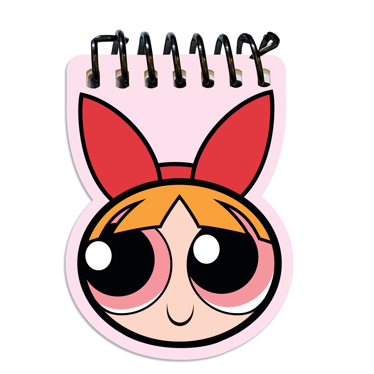 The Powerpuff Girls Blossoml Notebook