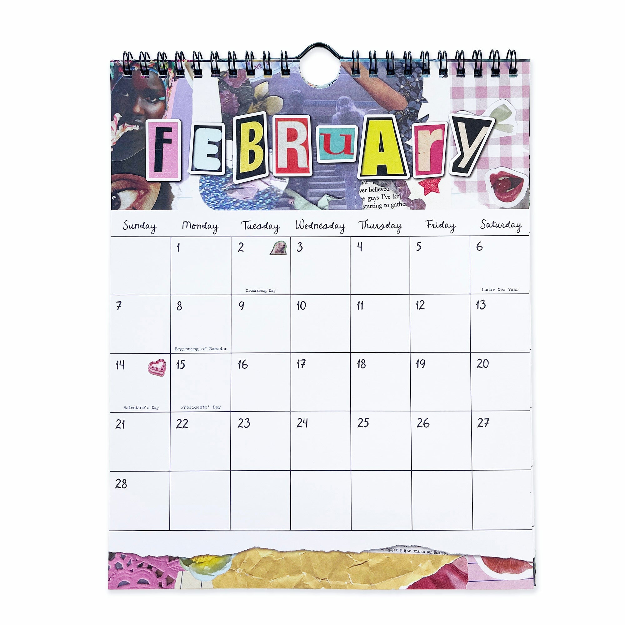 Pipsticks x Haricot Vert Dreamworld Wall Calendar