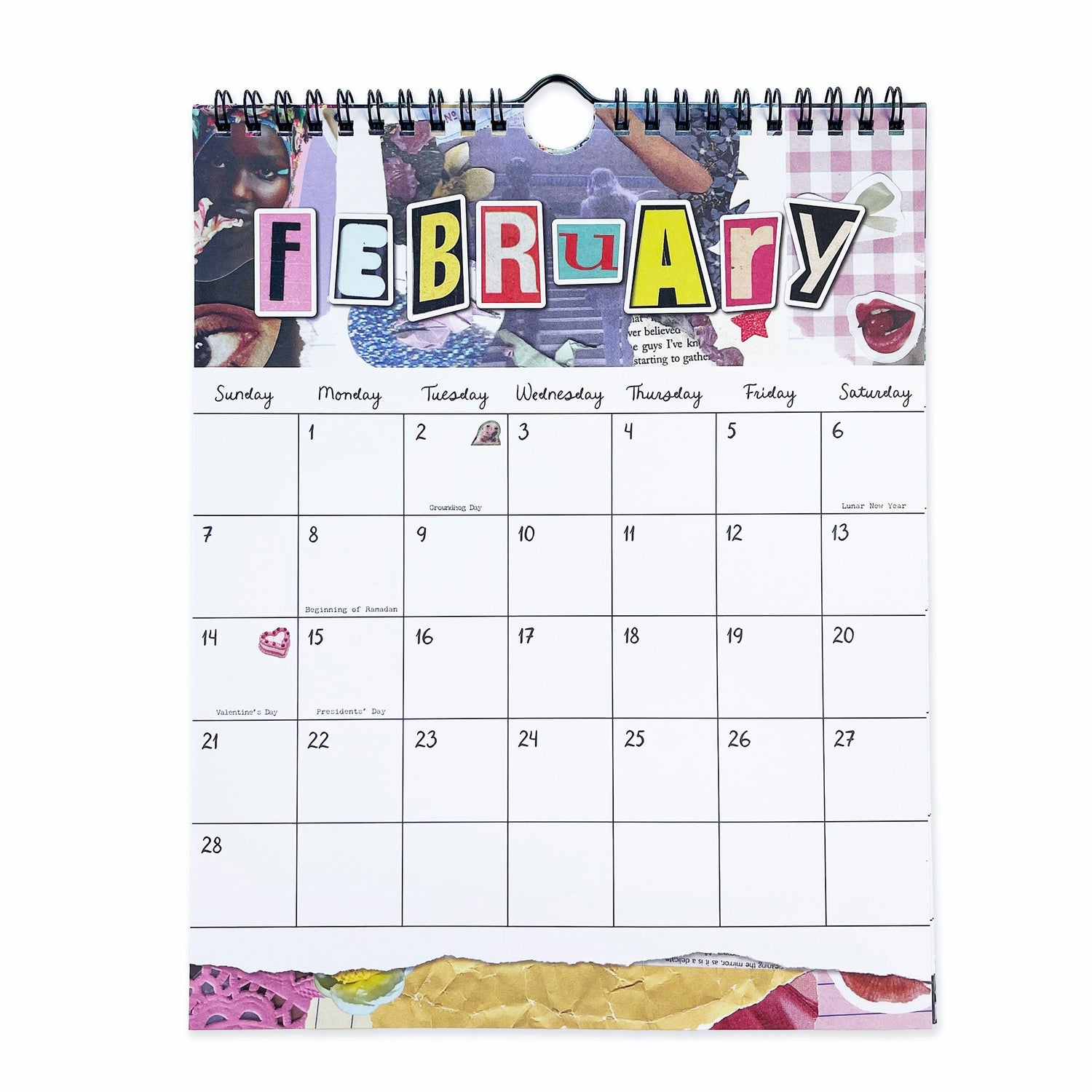 Pipsticks x Haricot Vert Dreamworld Wall Calendar