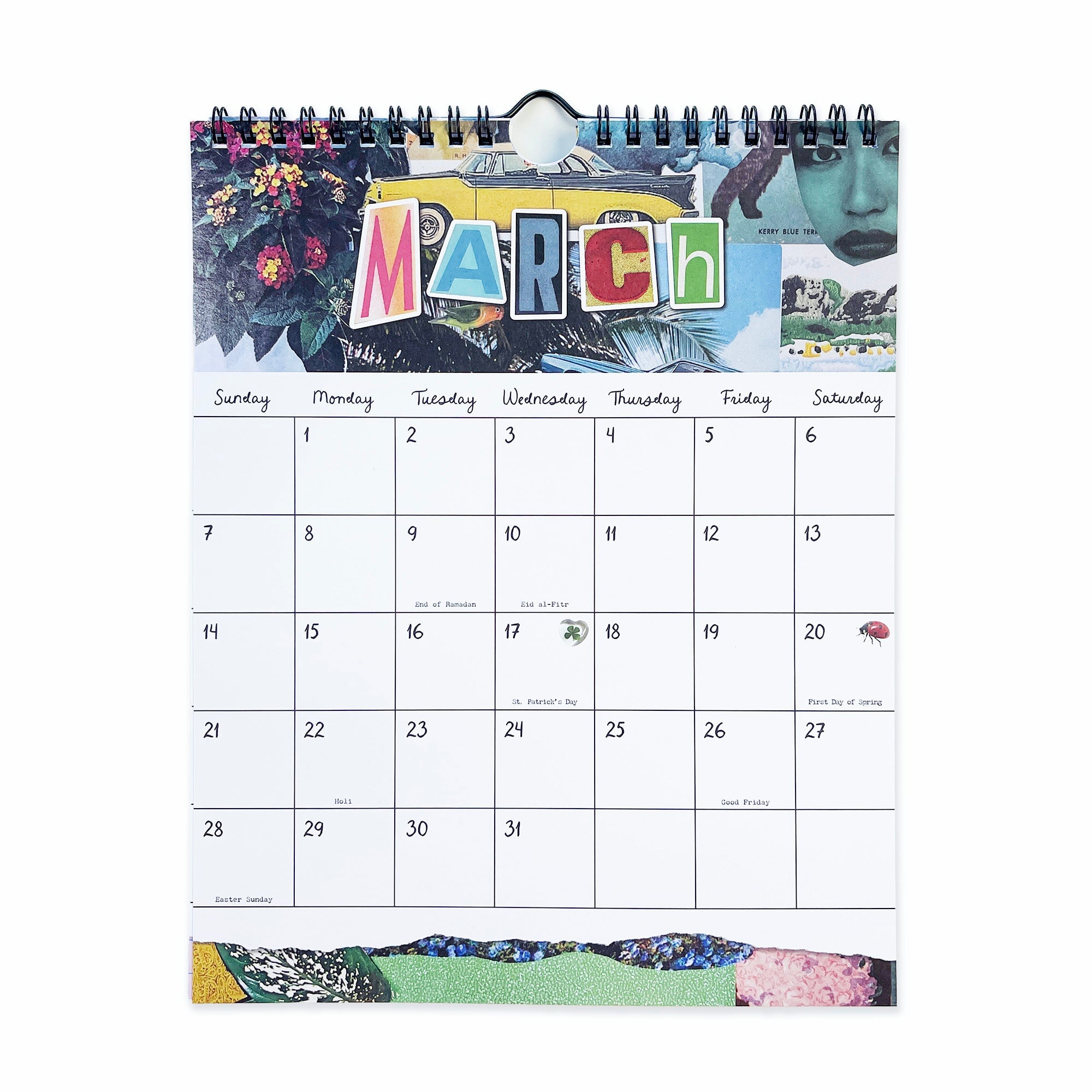 Pipsticks x Haricot Vert Dreamworld Wall Calendar