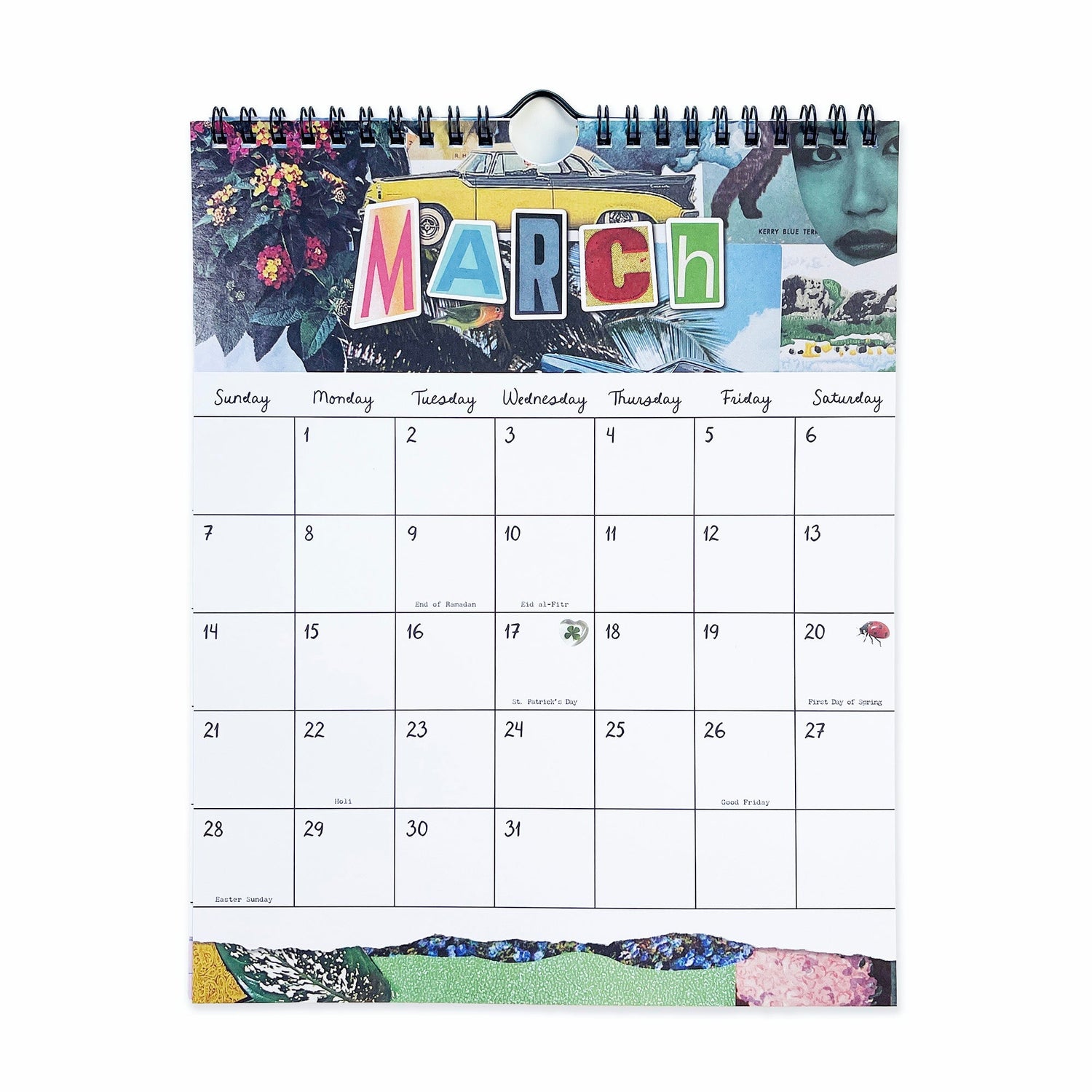 Pipsticks x Haricot Vert Dreamworld Wall Calendar