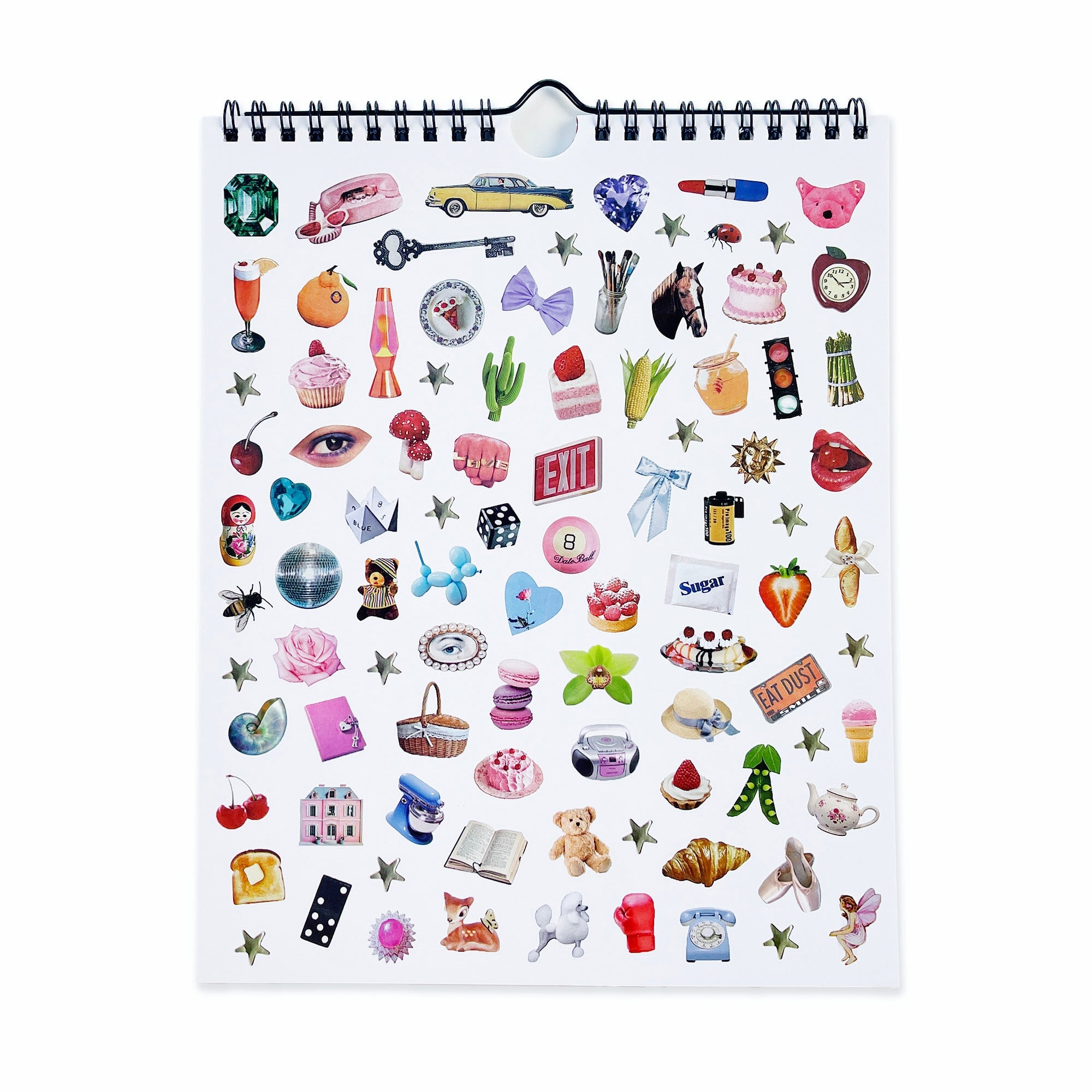 Pipsticks x Haricot Vert Dreamworld Wall Calendar