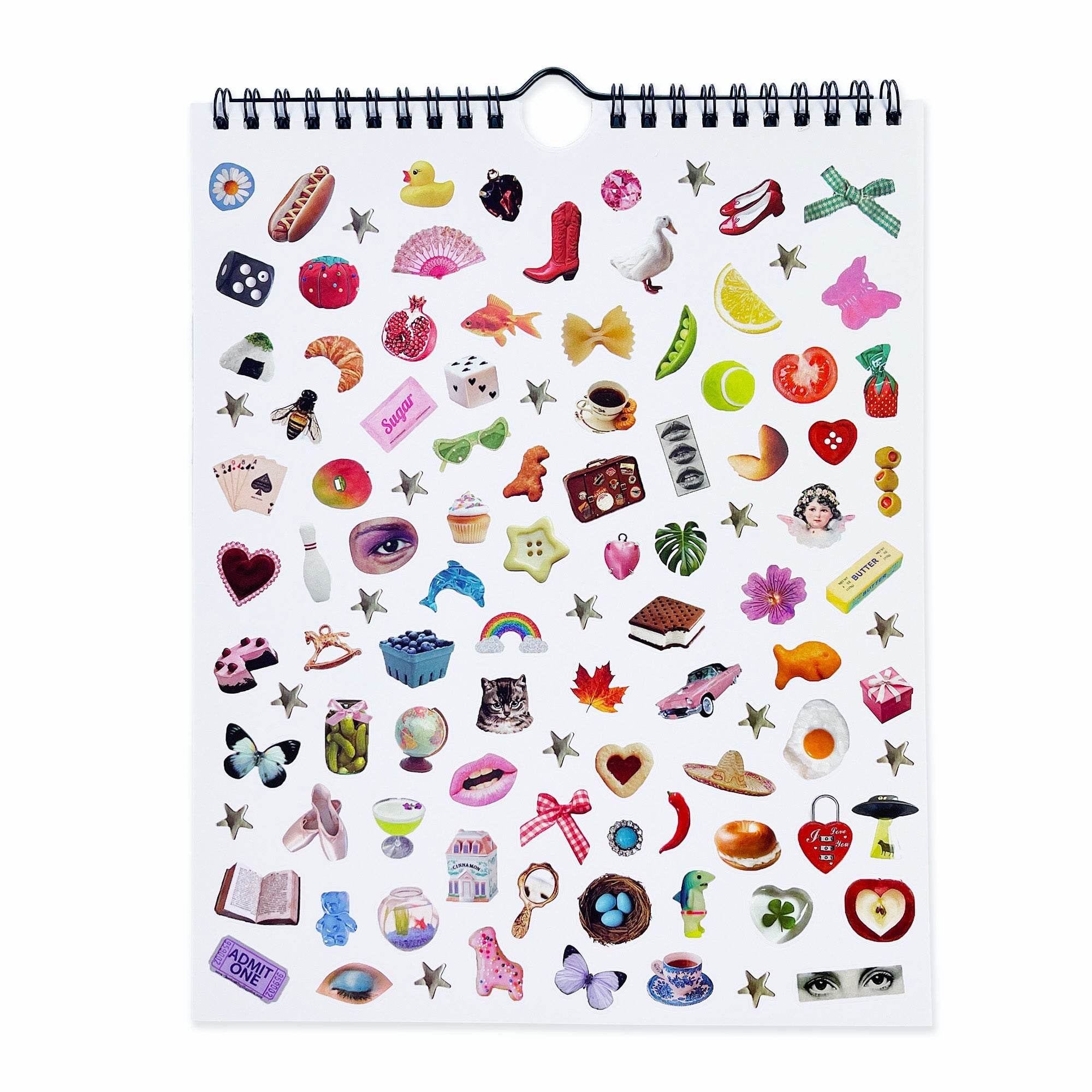 Pipsticks x Haricot Vert Dreamworld Wall Calendar