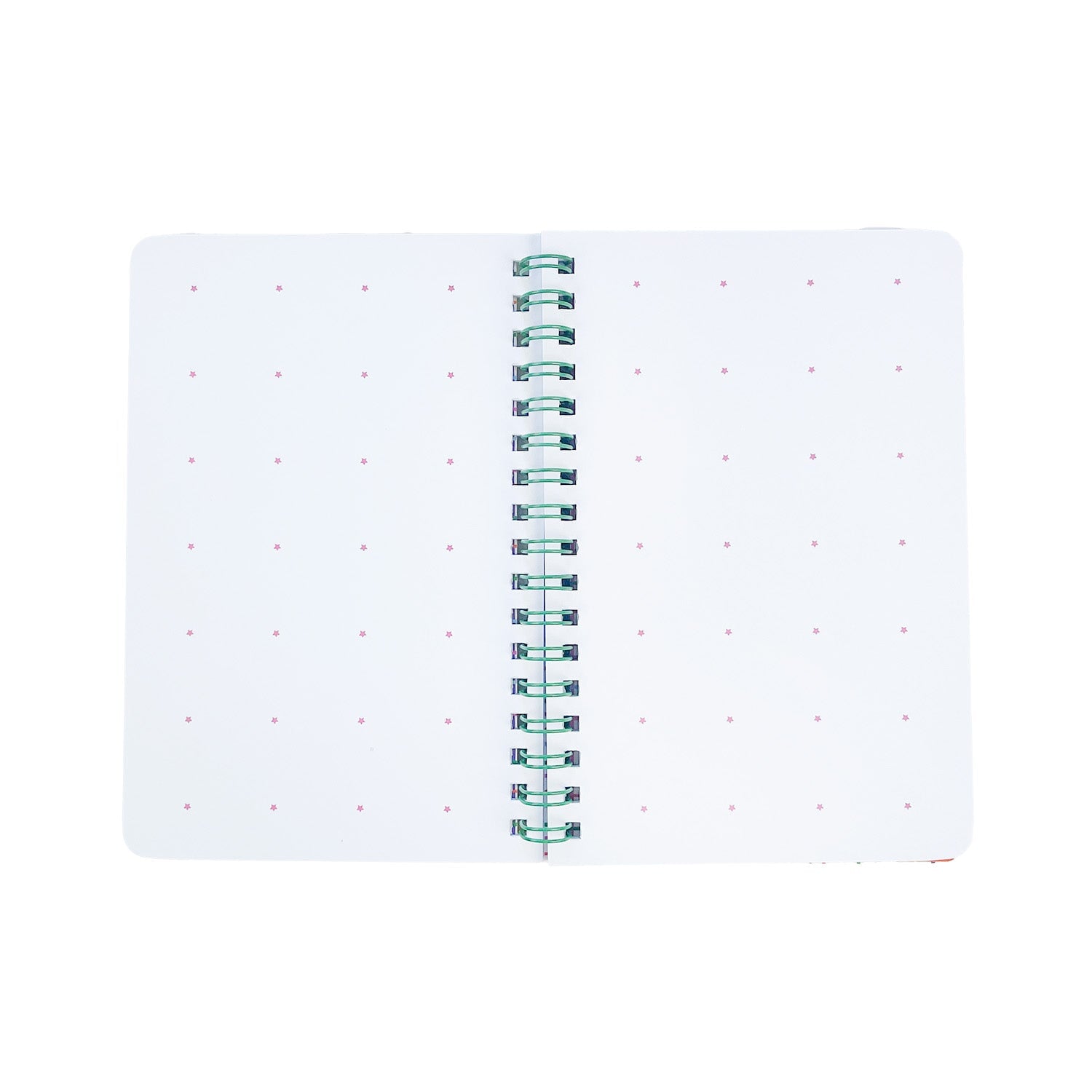 Fruit Sticker Journal Book