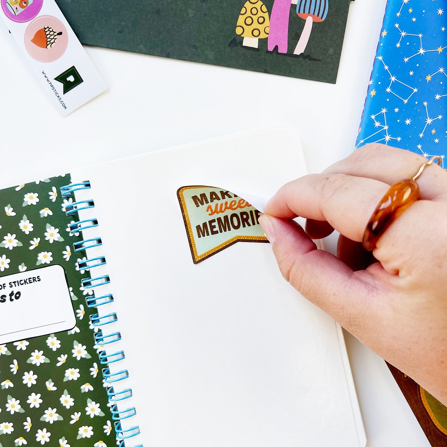 Sticker Scout Reusable Sticker Book