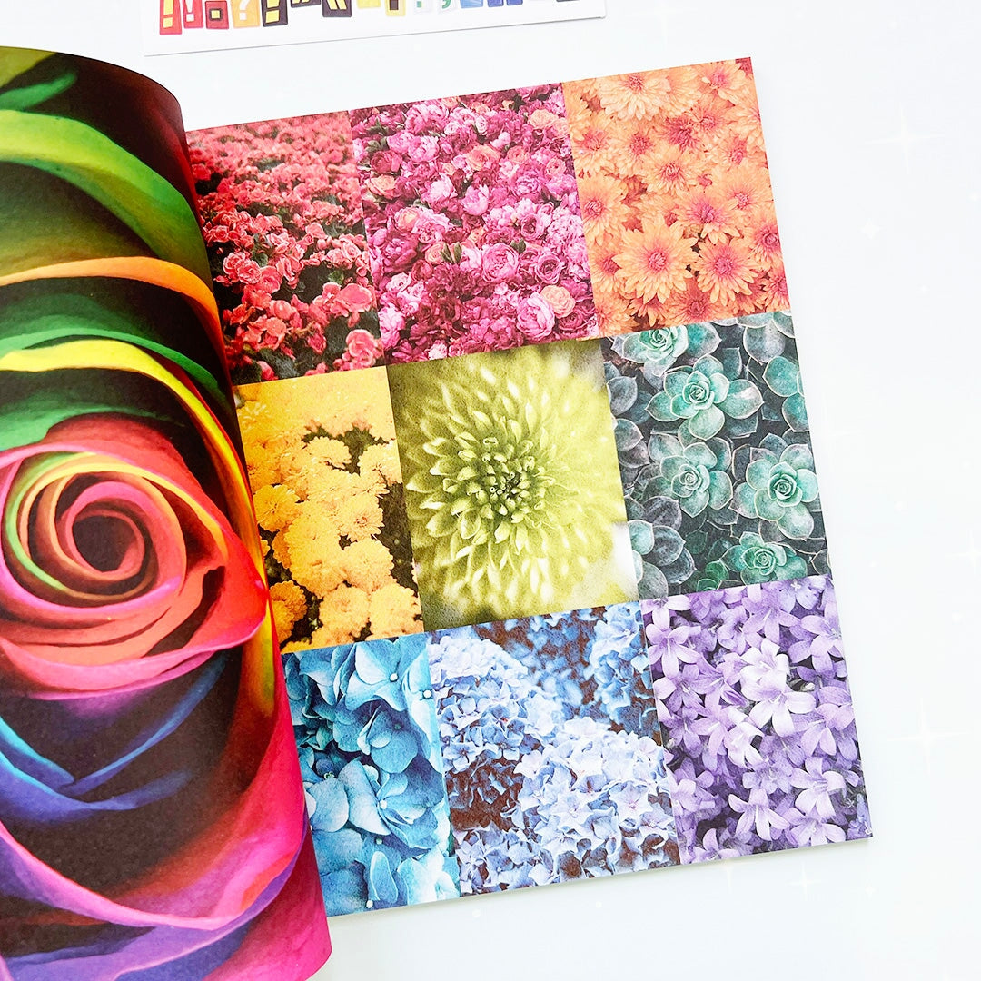Rainbow Vision Collage Magazine