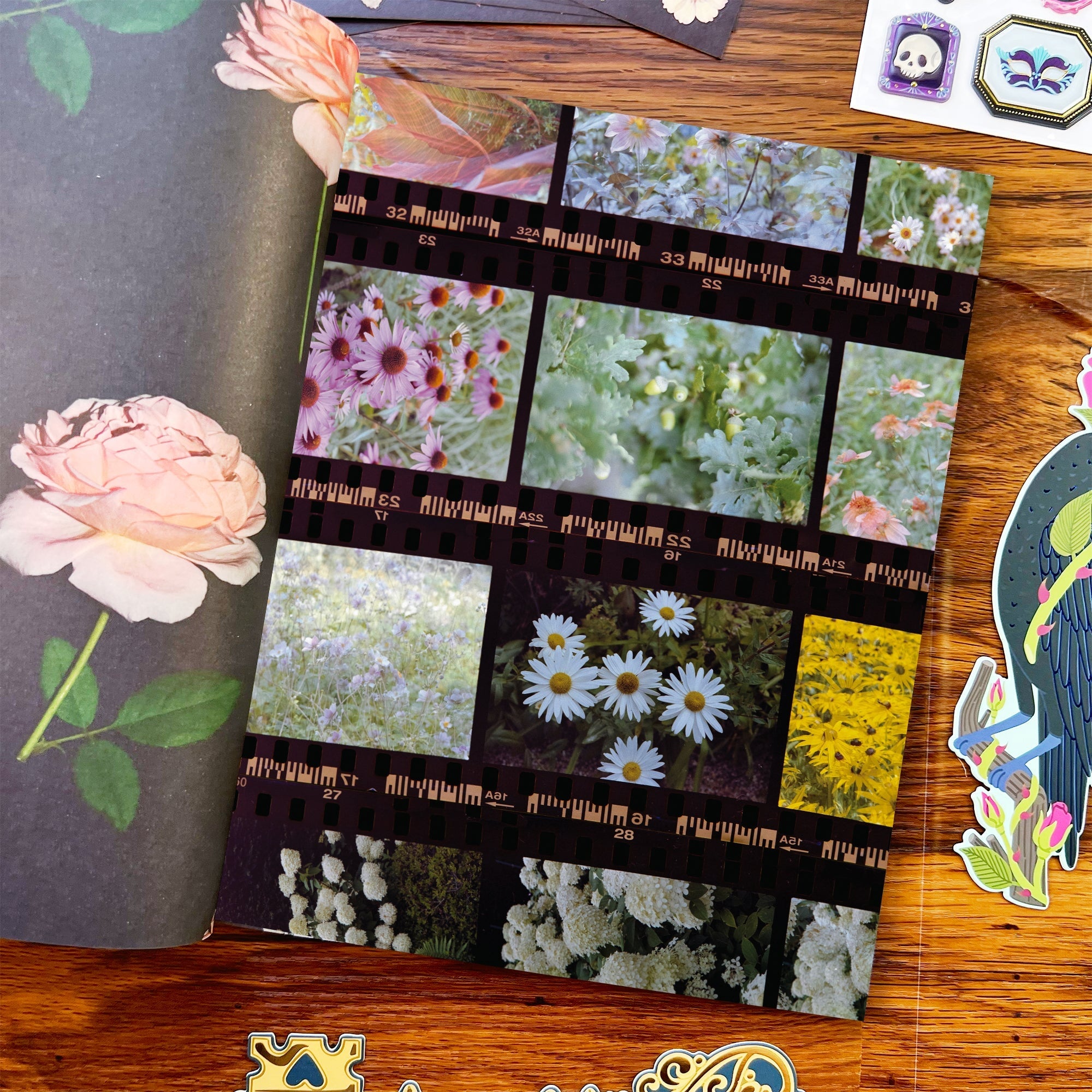 Moonlit Vision Collage Magazine