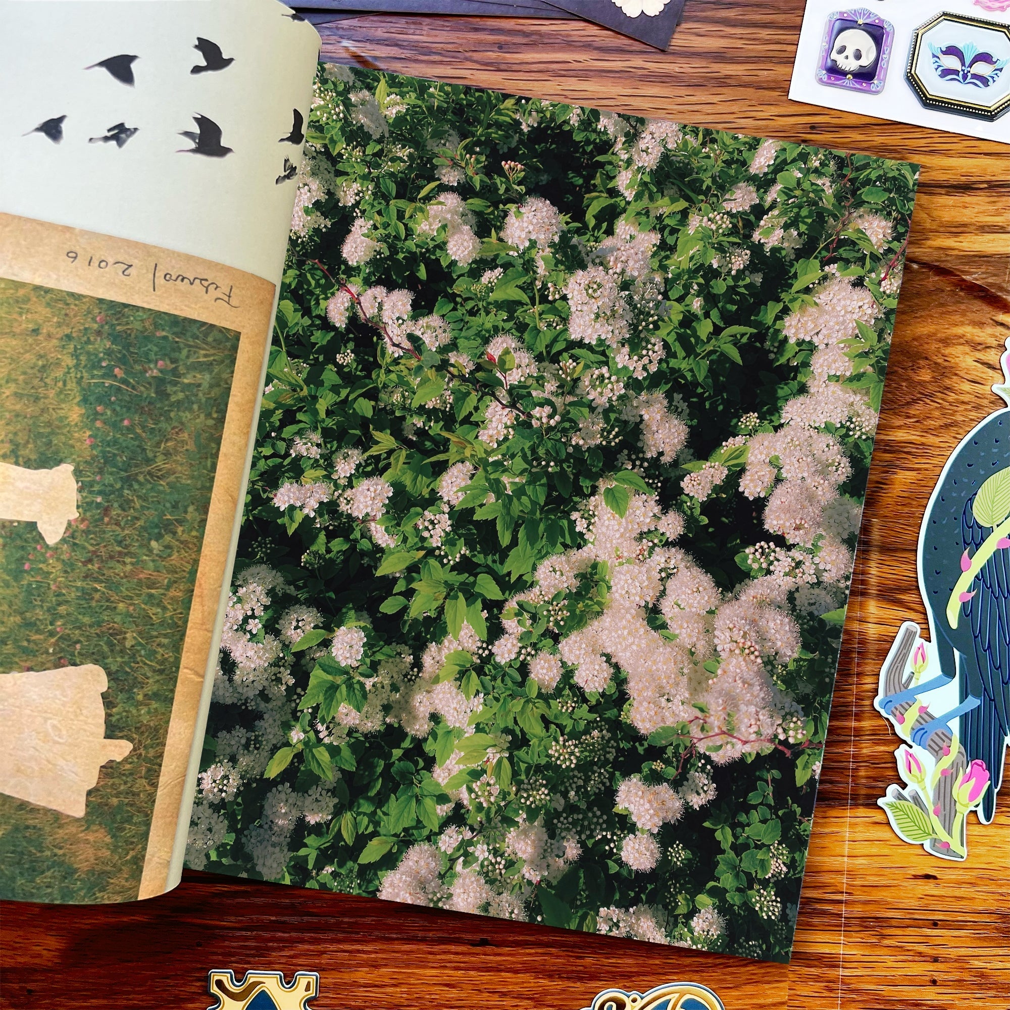 Moonlit Vision Collage Magazine