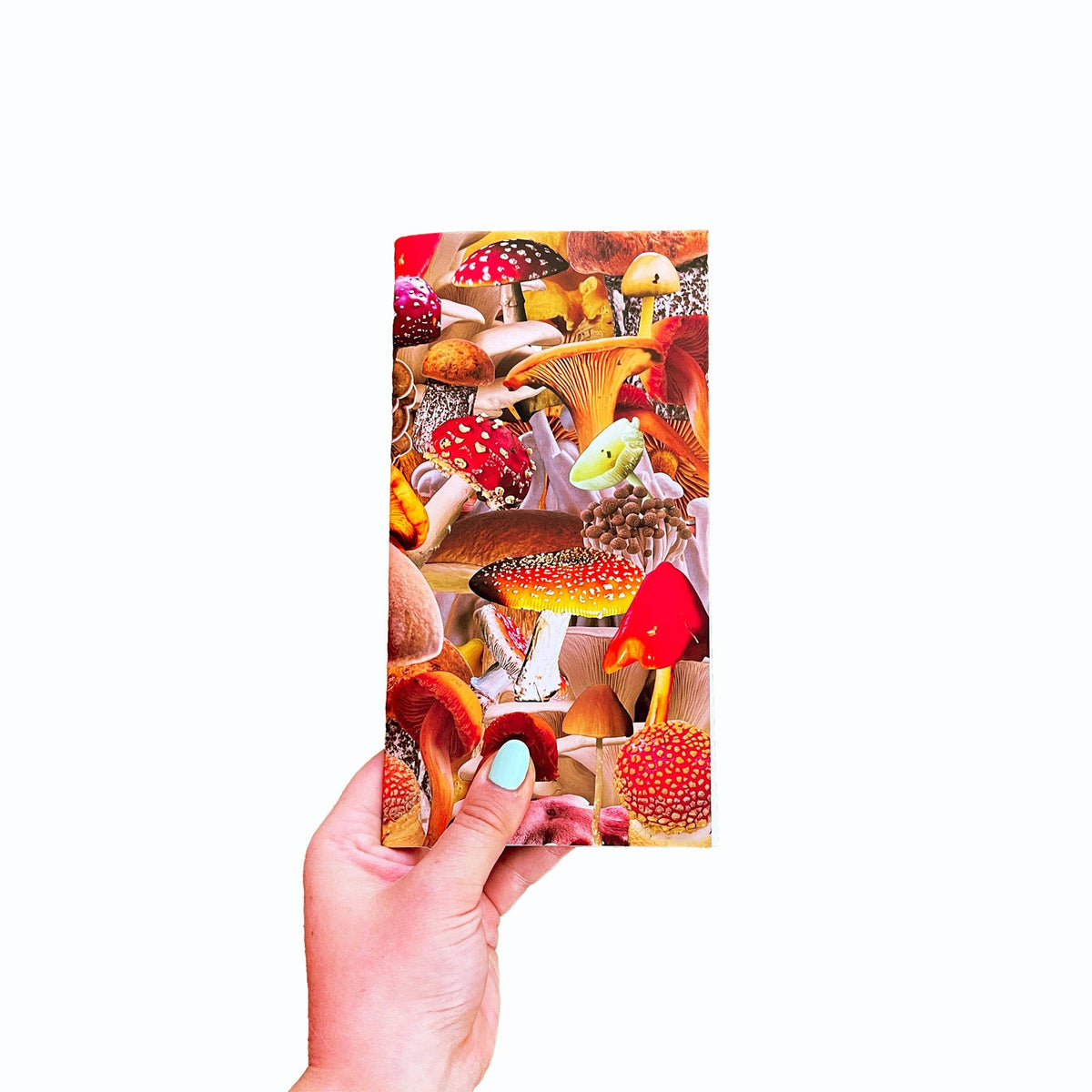 Autumn Atmosphere Travelers Notebook Collection