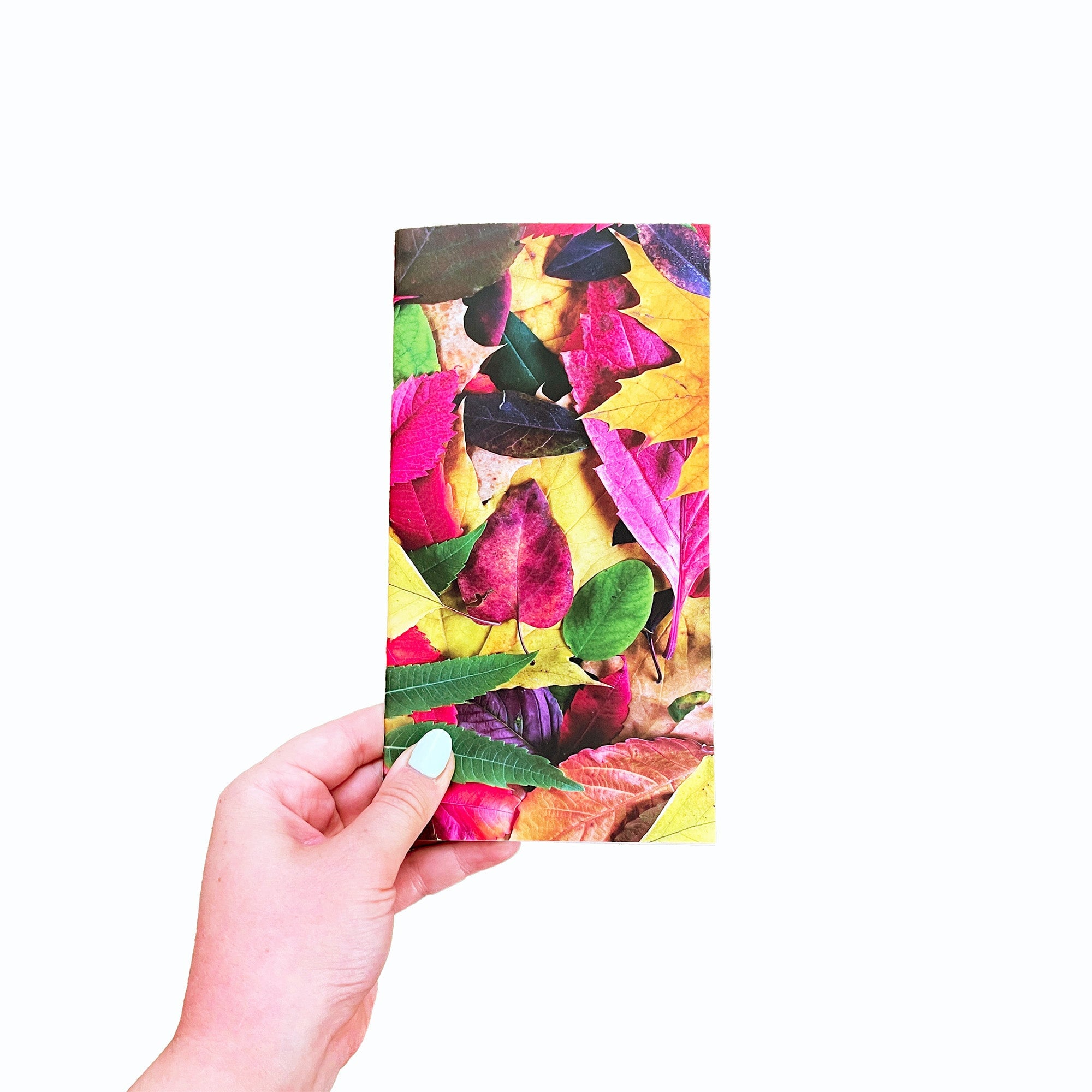Autumn Atmosphere Travelers Notebook Collection