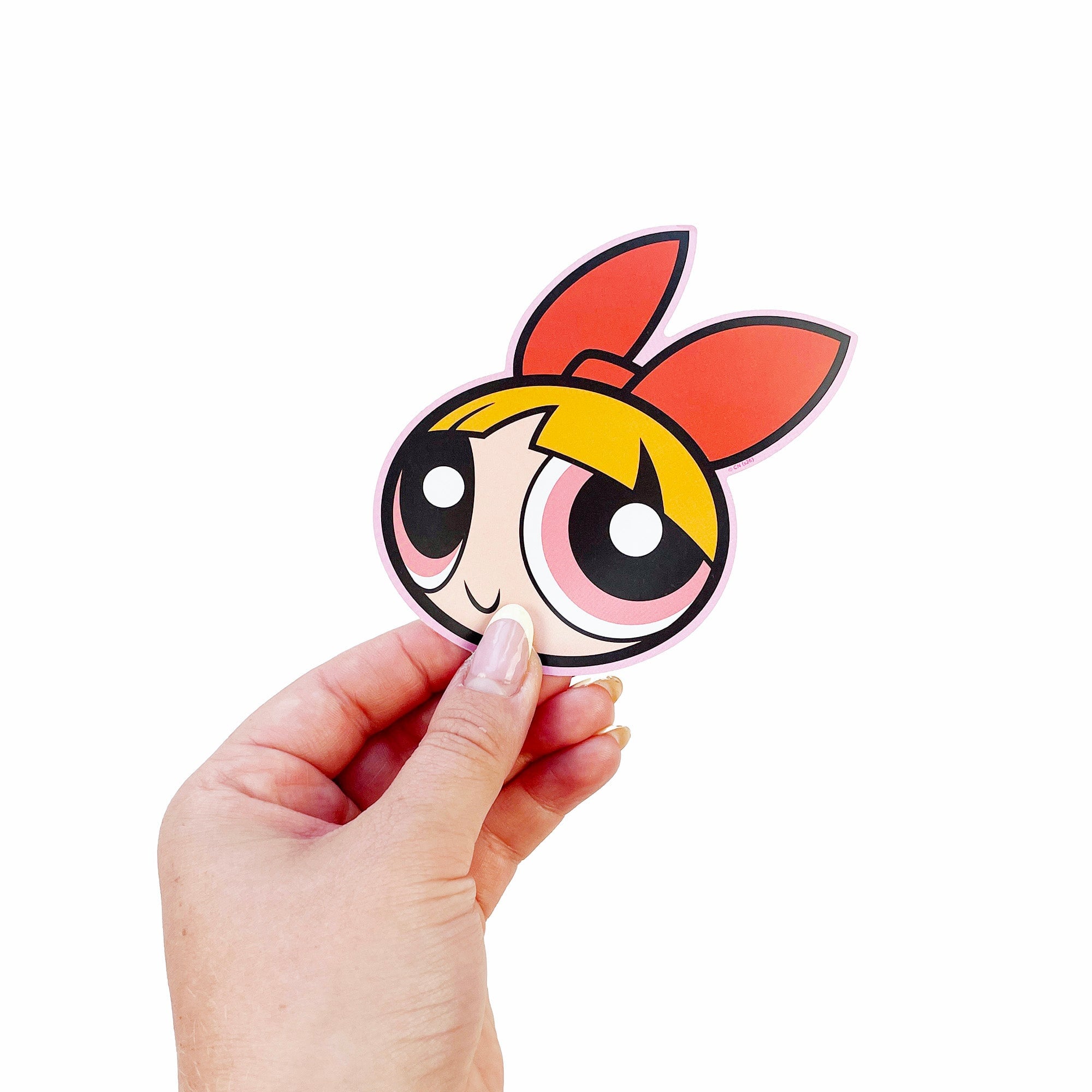 The Powerpuff Girls Vinyl Collection