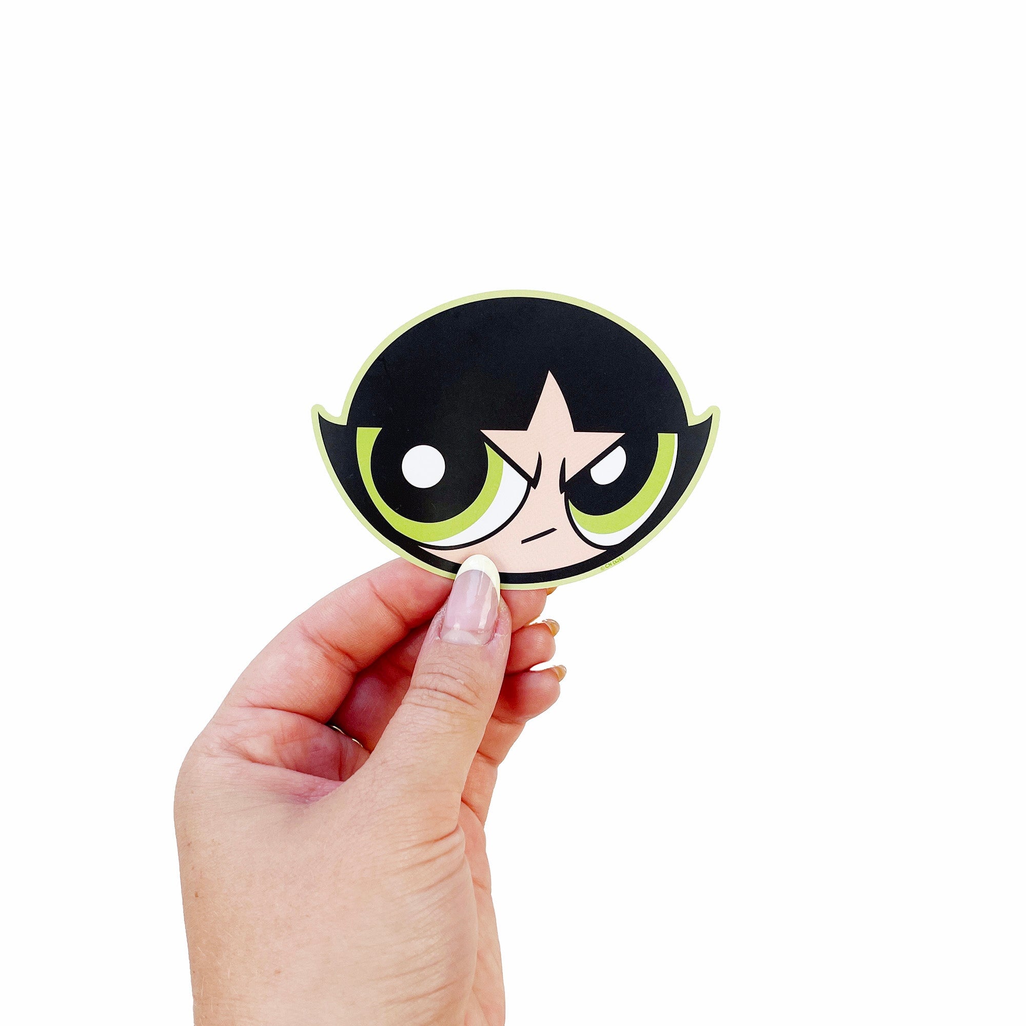 The Powerpuff Girls Vinyl Collection