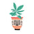 Ficus Vinyl