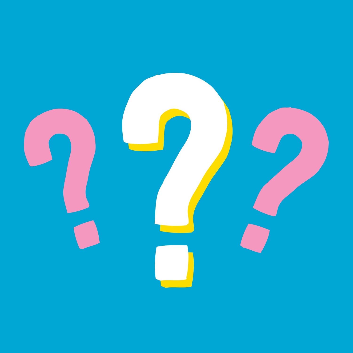 Planner Pipsticker Mystery Bag